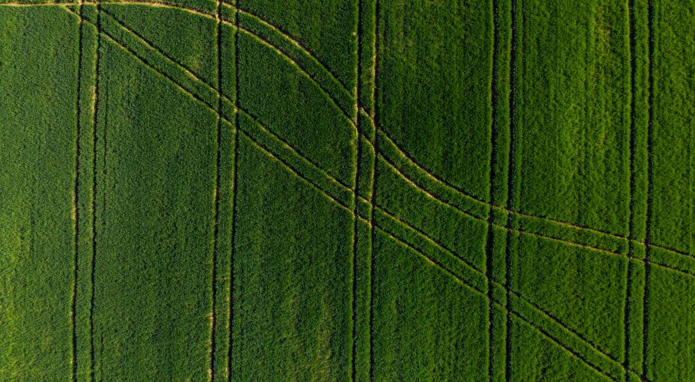 Tractor drive patterns in  agriciltural farming green fields. Aerial view from drone.